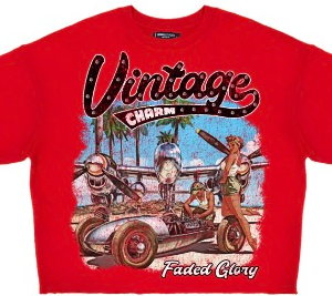 Roku Vintage Crop Tee